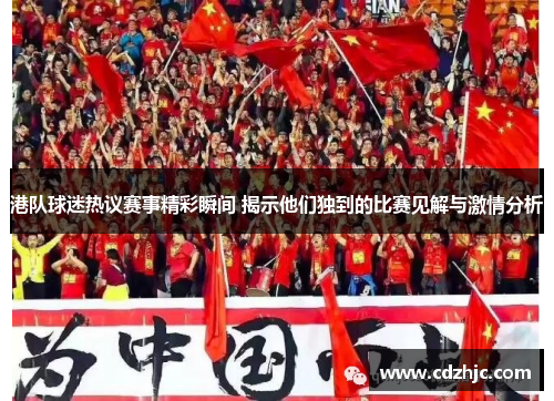 港队球迷热议赛事精彩瞬间 揭示他们独到的比赛见解与激情分析