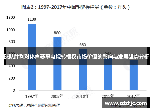 球队胜利对体育赛事电视转播权市场价值的影响与发展趋势分析