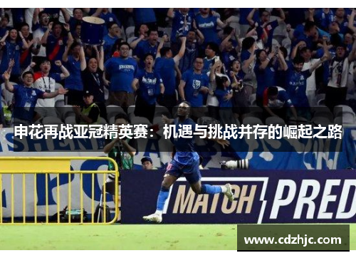 申花再战亚冠精英赛：机遇与挑战并存的崛起之路