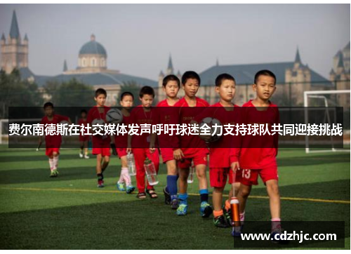 费尔南德斯在社交媒体发声呼吁球迷全力支持球队共同迎接挑战