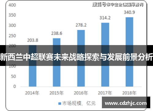新西兰中超联赛未来战略探索与发展前景分析